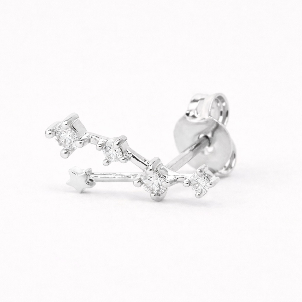 Horoscoop oorbellen